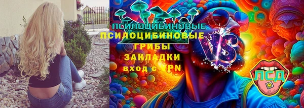 ПСИЛОЦИБИНОВЫЕ ГРИБЫ Белокуриха